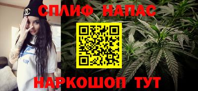 скорость Кинель
