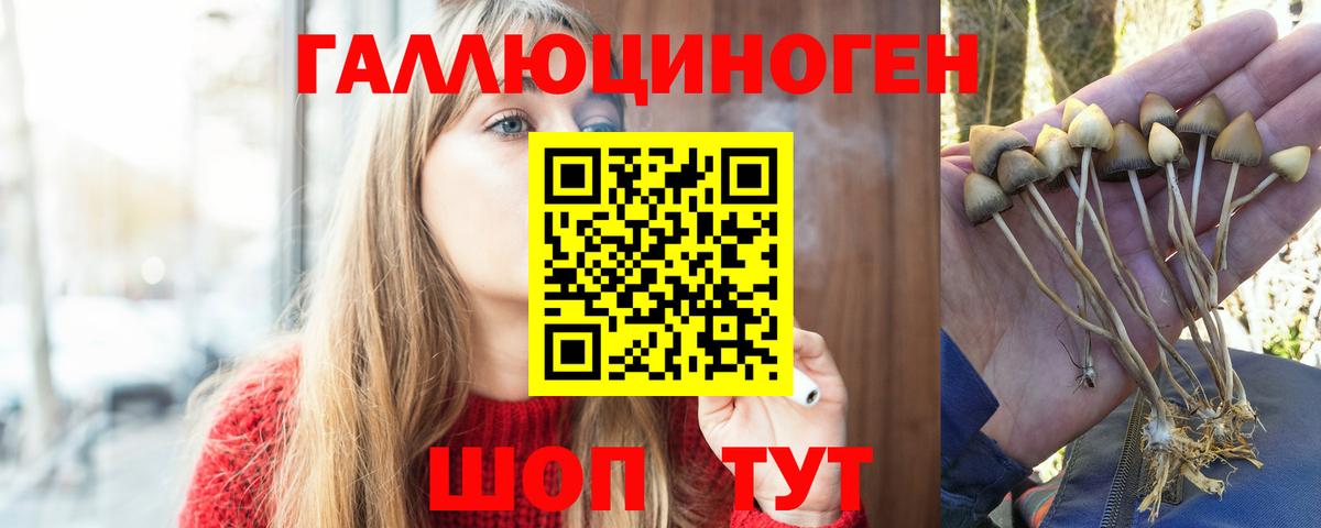 ГАШИШ Кудрово